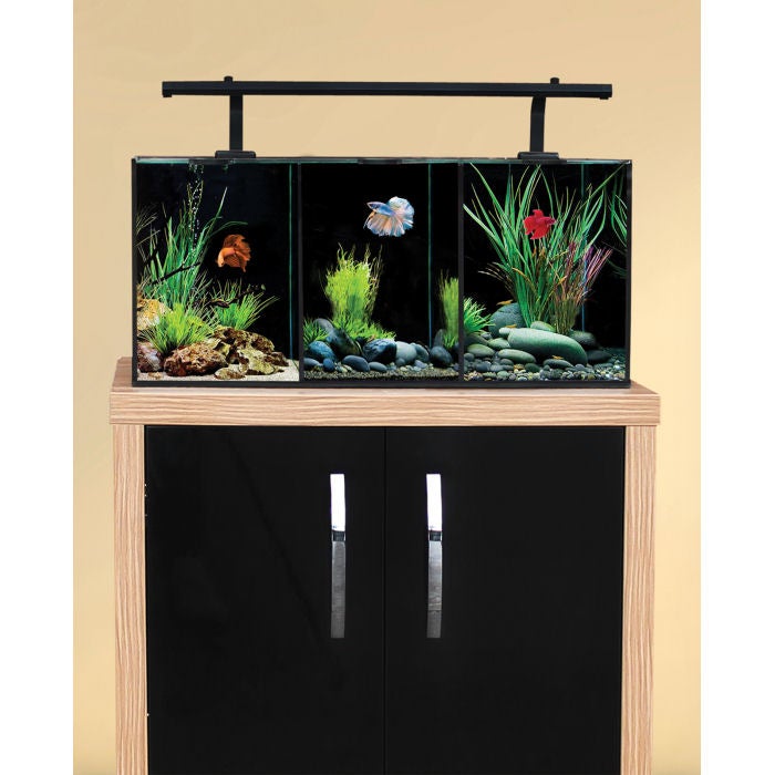 Aqua One Betta Trio Tank - 32 Liters *** special order 3-4 days | Fish ...